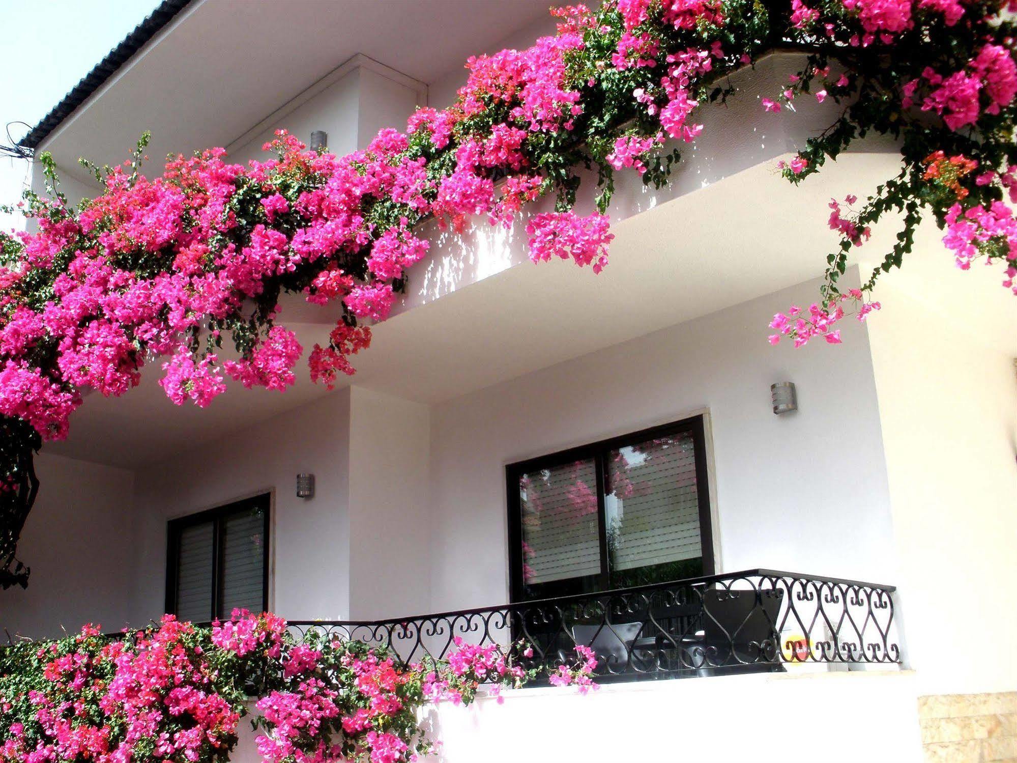 Dolce Cascais Guest House エクステリア 写真